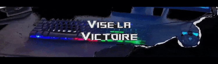 Setup gaming T'AIM - Visez la victoire